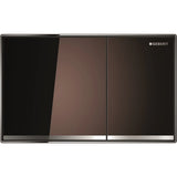 Geberit Sigma60 Kumanda Kapağı, Çift Basmalı, Toprak Cam